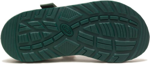 Bachforelle Chacos Herren X Thomas Rhett Z/1 Classic