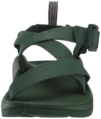 Chacos Kids Z1 Ecotread Sandale Weiden