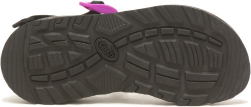 Chacos Z/cloud Dragon Fruit Fuchsia Für Damen