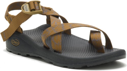 Z/Cloud 2 Aerial Bronze Chacos Für Herren