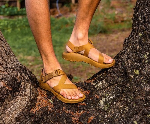 Tetra Moss Chacos Herren Z/cloud Breite Weite