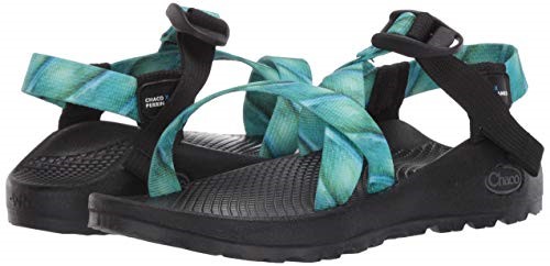 Damensandale Jobfish Chacos