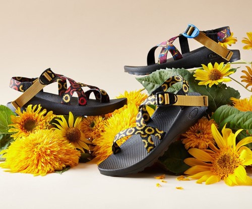 Z/1 Classic Harvest Damenkollektion Chacos Sunflower Multi