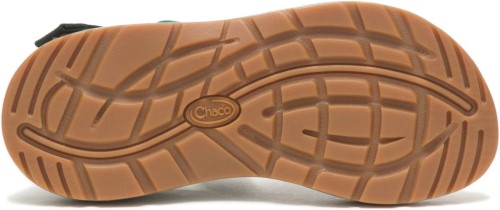 Z/cloud Bracken Evergreen Chacos Für Damen